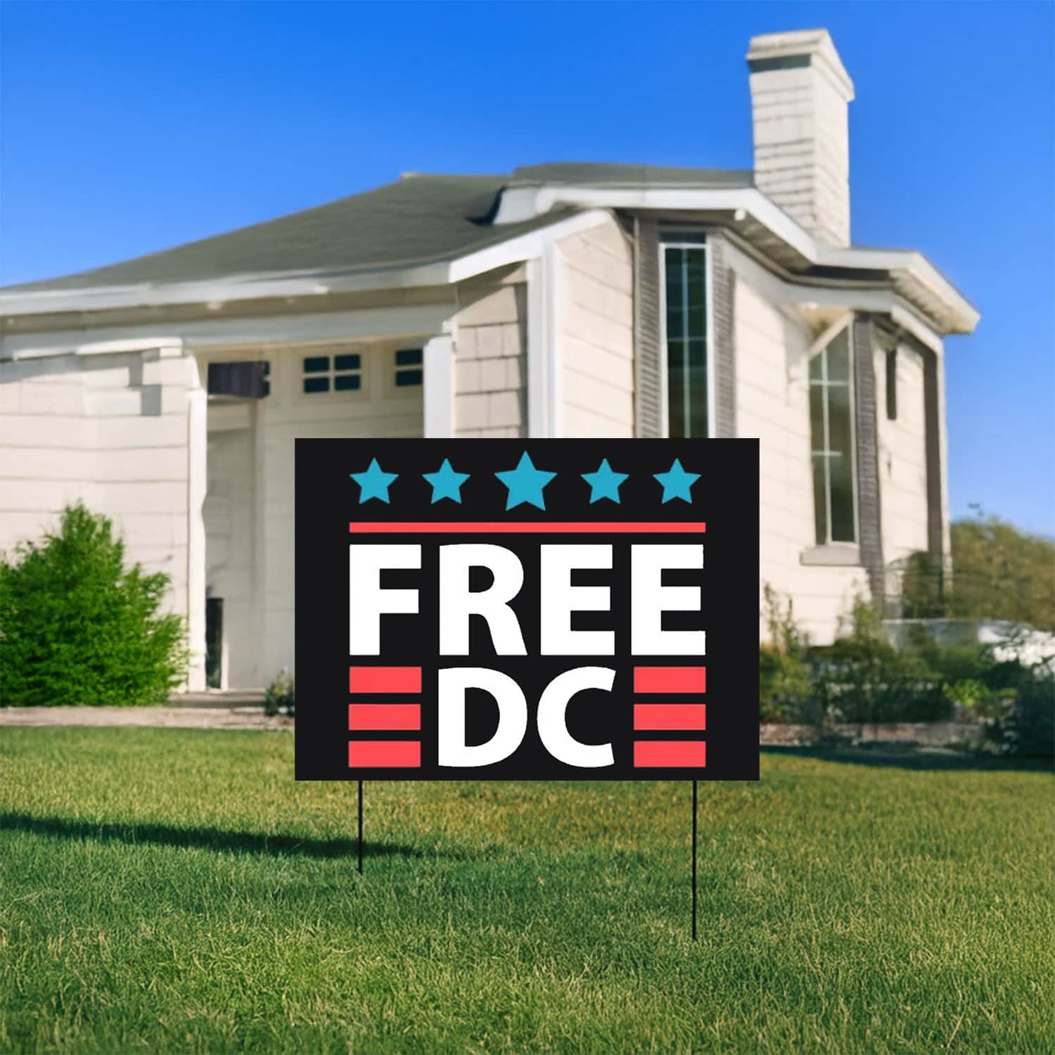 Free-DC-Yard-Sign-–-Bold-Patriotic-Protest-Display-USA