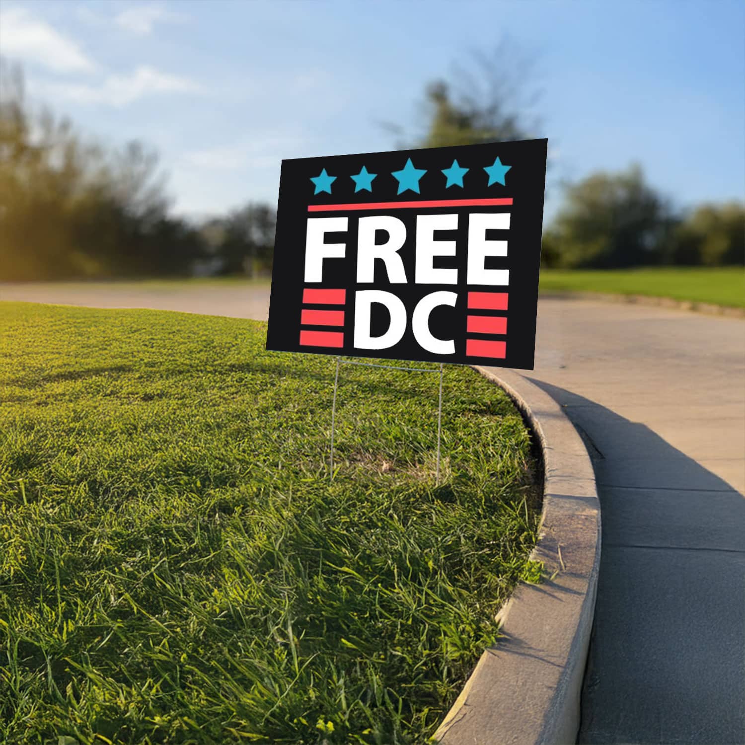 Free-DC-Yard-Sign-–-Bold-Patriotic-Protest-Display