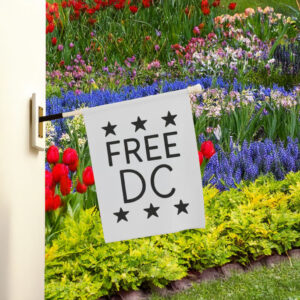 Pro-Democracy Political Protest Banner, Free DC Resist Federal Overreach Flag