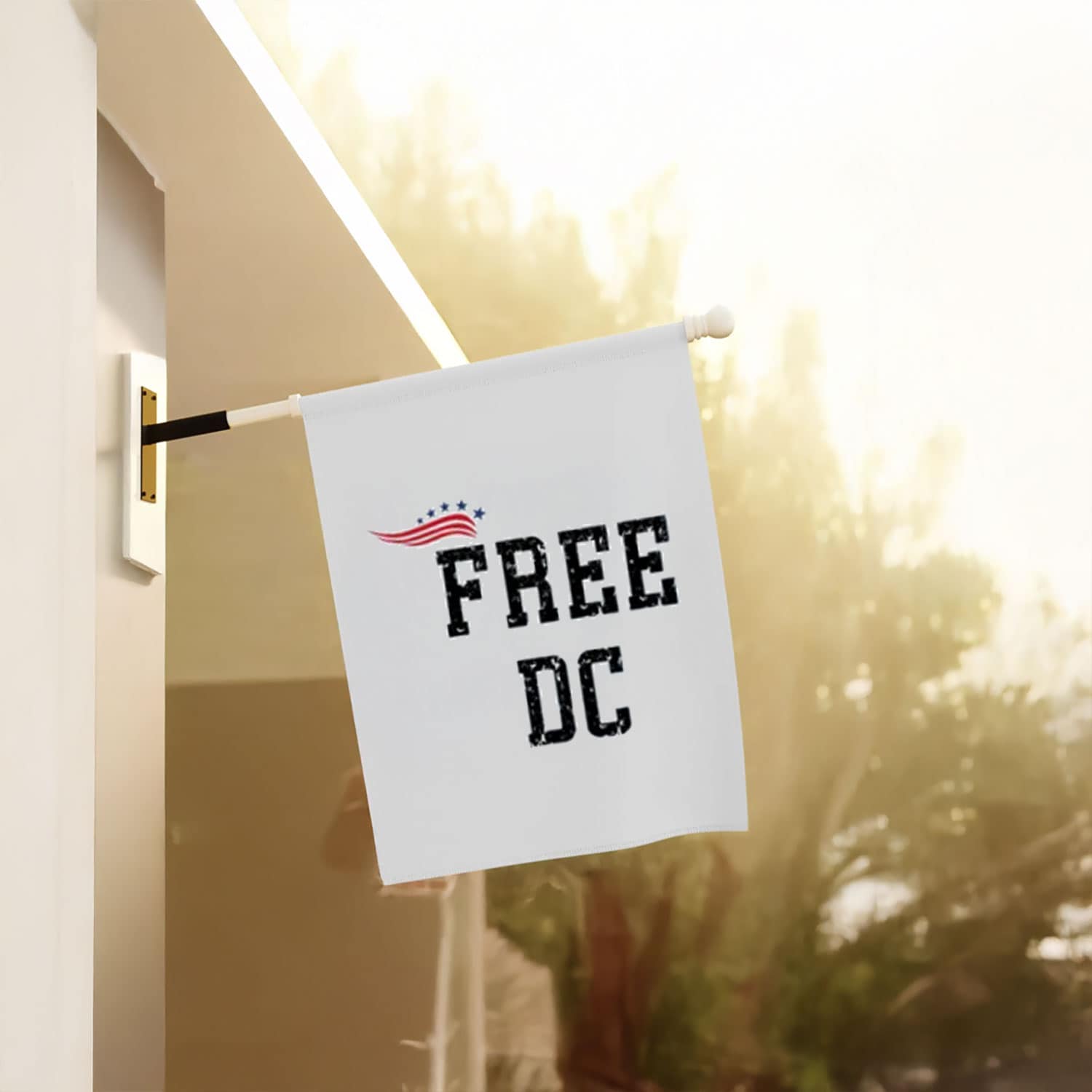 Washington D.C. Statehood Flag – Free DC Protest Sign
