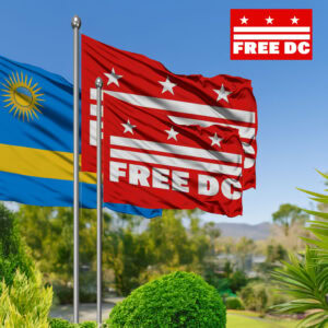 Activism & Protest Outdoor Banner, Free DC Equality Flag