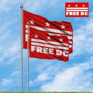 Activism & Protest Outdoor Banner, Free DC Equality Flag