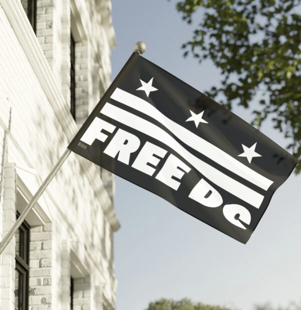 Free DC Flag