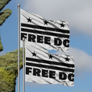 Free DC Flag – Resist Federal Overreach Protest Banner, Washington DC Statehood Rights Flag
