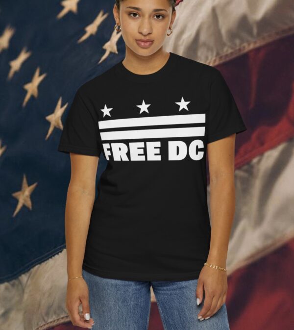 Free DC Project 2025 T-Shirt