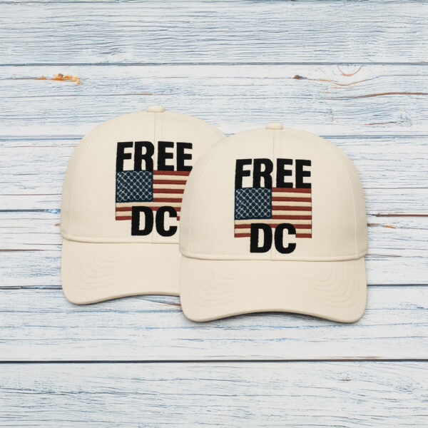 Free DC Vintage American Flag Embroidered Hat