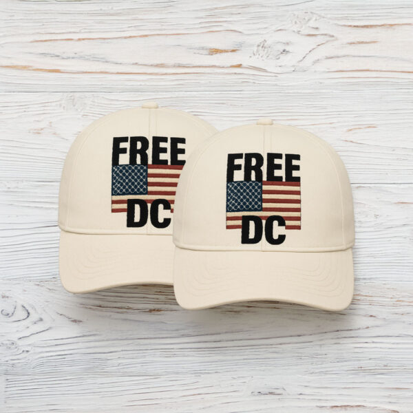 Free DC Vintage American Flag Embroidered Hat