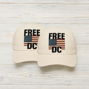Free DC Vintage American Flag Embroidered Hat