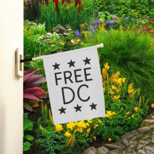 Pro-Democracy Political Protest Banner, Free DC Resist Federal Overreach Flag