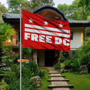 Resist Federal Overreach Design, Free DC Political Flag