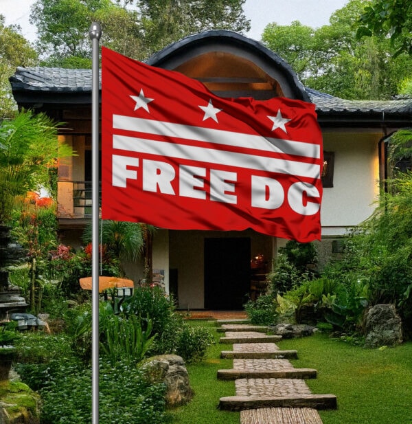 Resist Federal Overreach Design, Free DC Political Flag