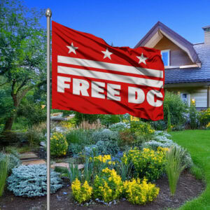 Resist Federal Overreach Design, Free DC Political Flag