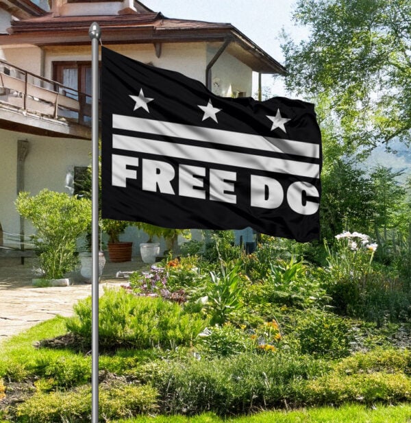 Washington D.C. Statehood Protest Banner, Free DC Flag