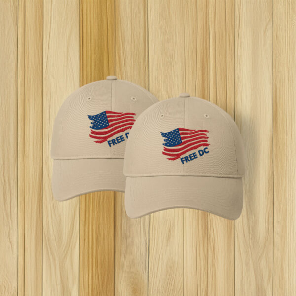 Washington DC Statehood & Protest Cap, Free DC American Flag Embroidered Hat