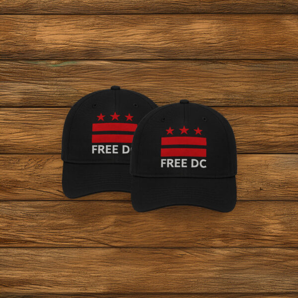 Washington DC Statehood & Protest Cap, Free DC Flag Embroidered Hat