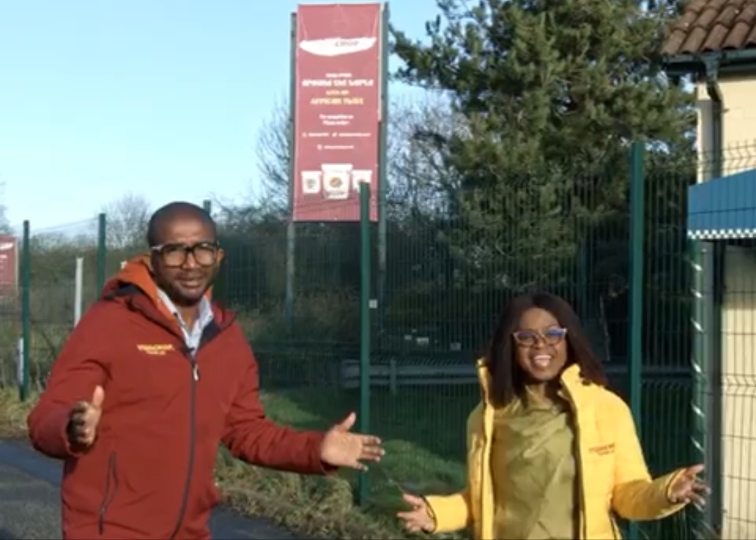 screenshot 2022 12 30 20 23 59 18 6012fa4d4ddec268fc5c7112cbb265e7