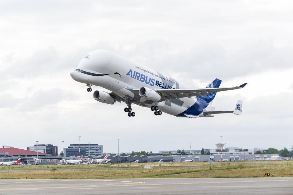 beluga xl2article 962