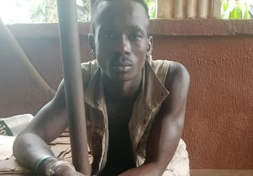 IMG 20240404 WA0095 X jpg