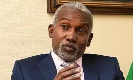 FG rejects foreign interference, investigates protest violence