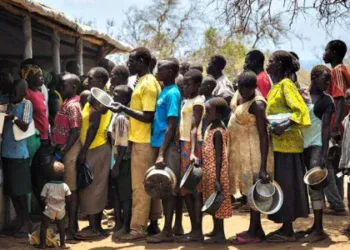 Nigeria humanitarian crisis