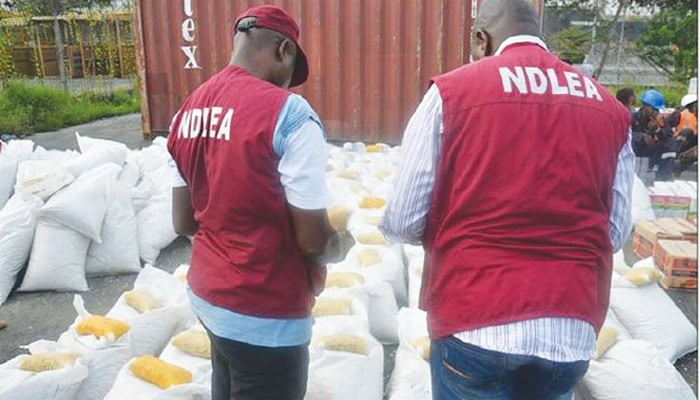 NDLEA Adamawa seizes drugs