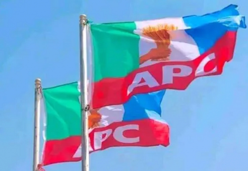 Ughelli APC Endorsement