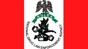 NDLEA cocaine seizure Lagos sparks global investigation
