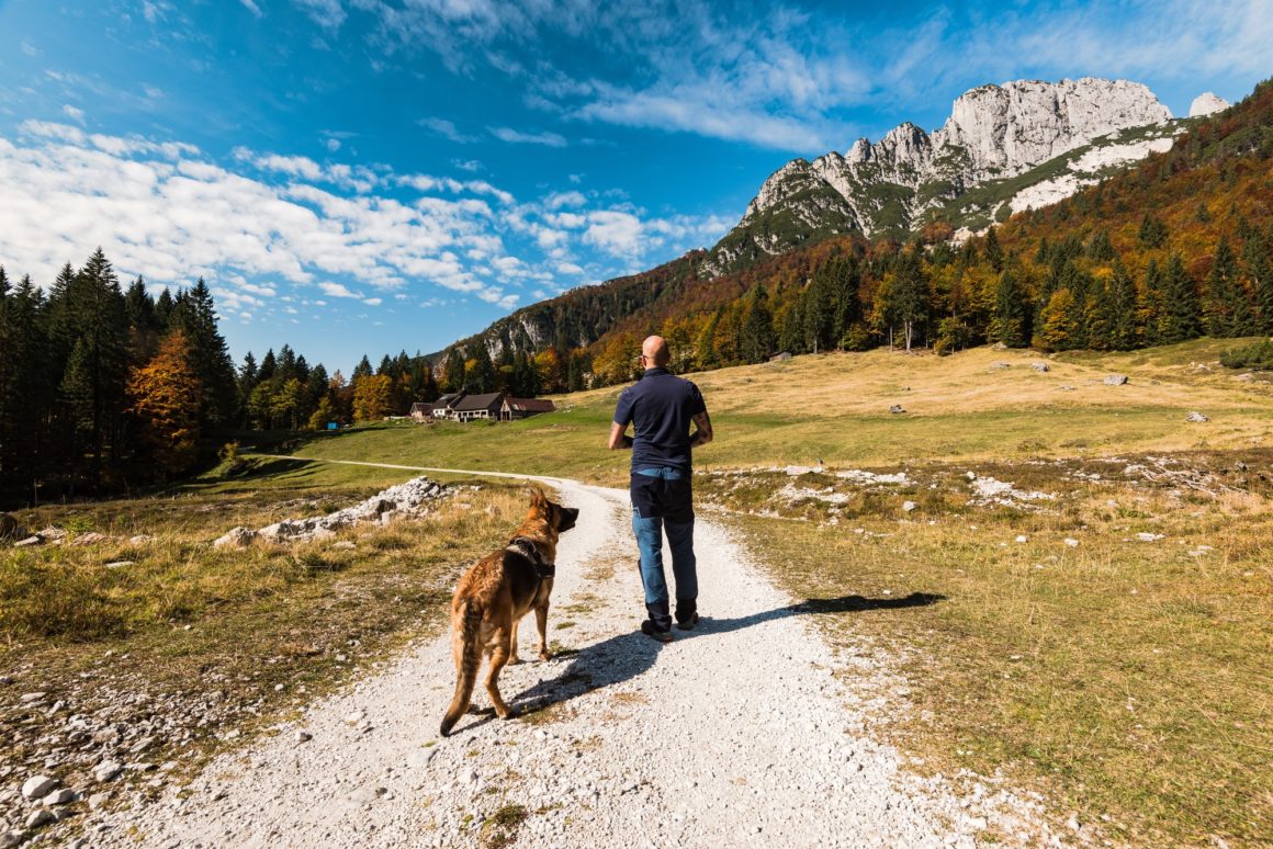 Man walking with dog in high mountains