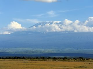 Kilimanjaro on african savannah