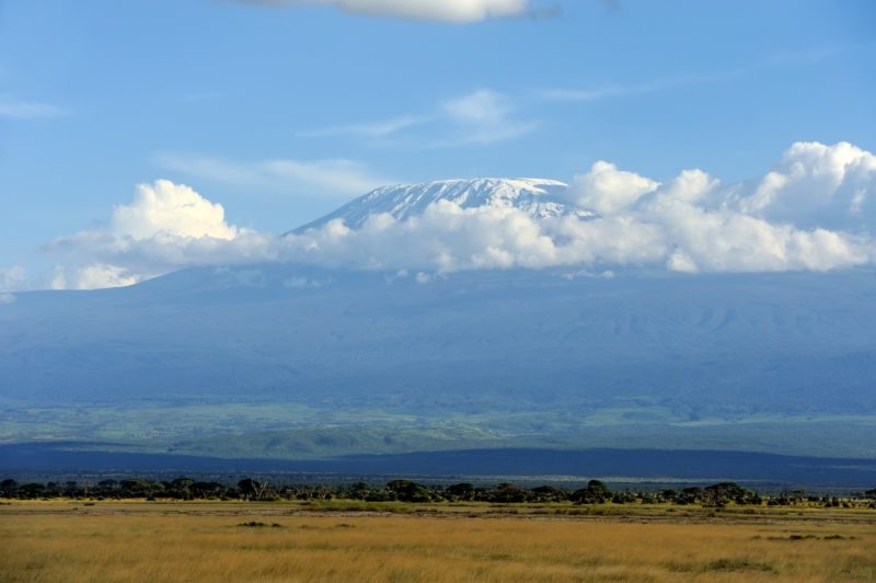 Kilimanjaro on african savannah