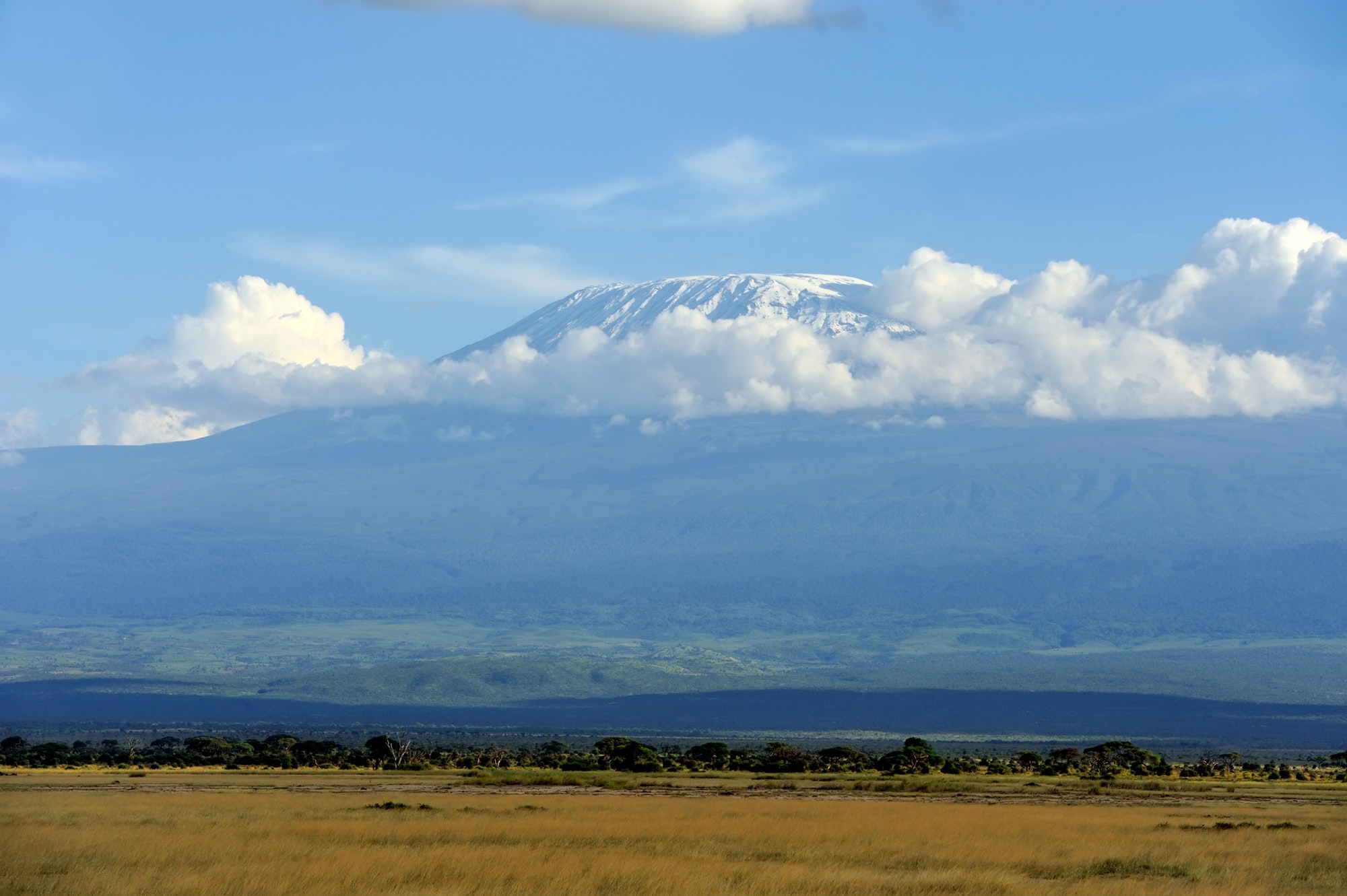 Kilimanjaro on african savannah