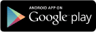 Google Play Store Icon