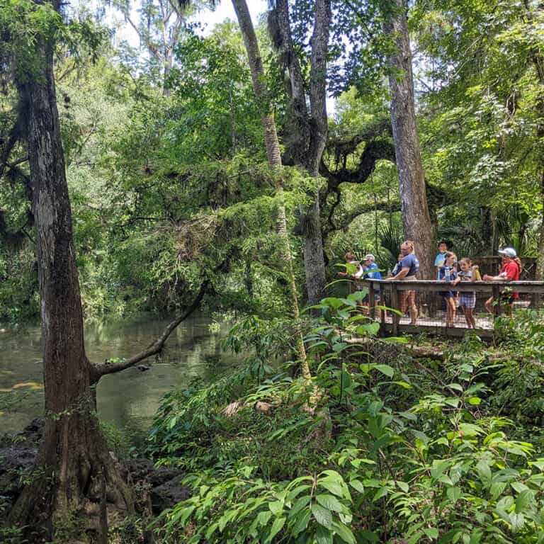 [Tampa]The Florida Aquarium Homeschool Field Trip SAWGRASS LAKE PARK