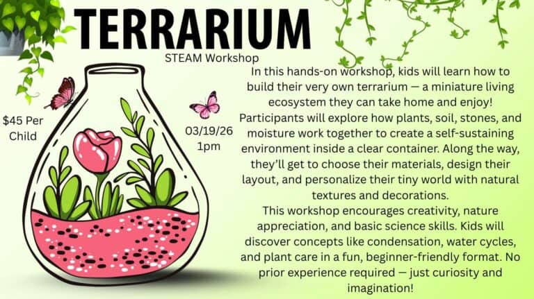 [New Port Richey] Last Day To Register:Terrarium STEAM Workshop 3/19 @ Nikos Playhouse