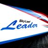 SkyLeaf Leader (F3A) - Image 5