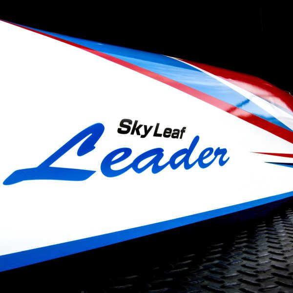 SkyLeaf Leader (F3A) - Image 5