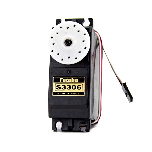 S3306 (Giant Scale)