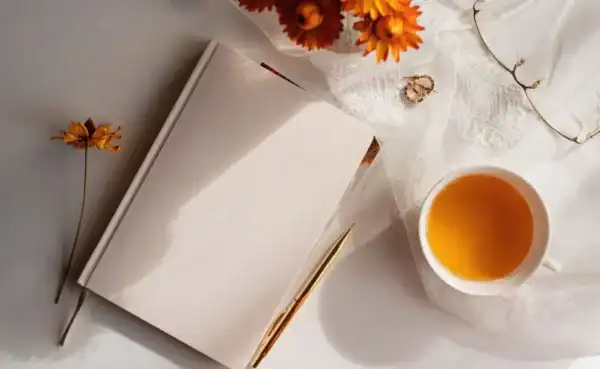 Lire la suite à propos de l’article Les 3 piliers du SEO : le pouvoir des 3