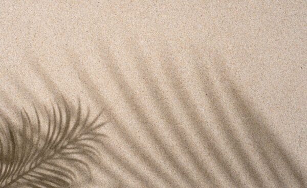 Lire la suite à propos de l’article Redirection 301 WordPress