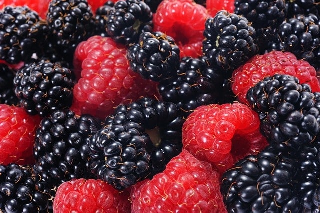 raspberries and blackberries, forest fruits, closeup, vitamins, jagoda, nature, summer, fruit, forest, delicious, garden, sad, raspberries, health, food, vitamin, natural, juicy, ripe, health, health, health, health, health