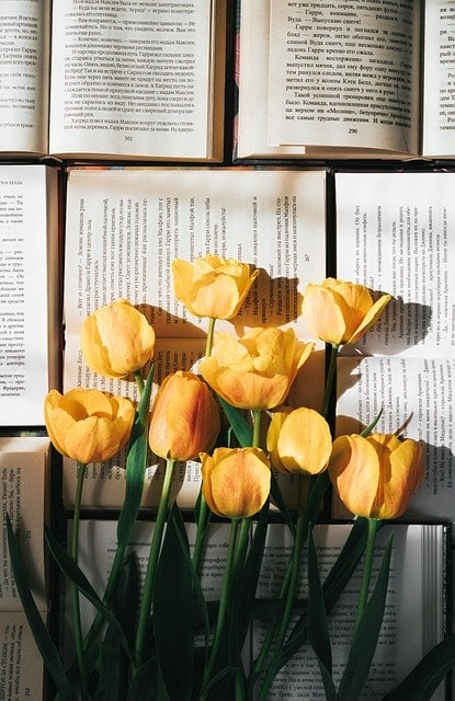 tulips, flower wallpaper, flowers, beautiful flowers, books, read, page, yellow tulips, nature, yellow flowers, spring, flower background, literature, closeup, phone wallpaper, aesthetic wallpaper