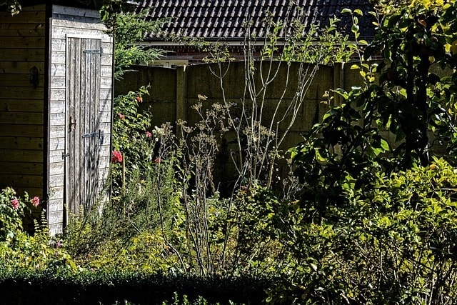 garden, shelter, drink, nature, gardeners, romantic, door