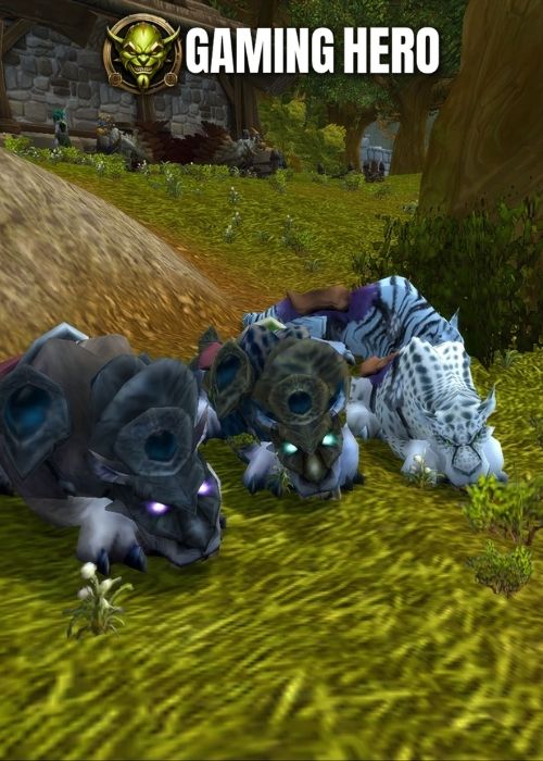 Night Elf Racial Mounts