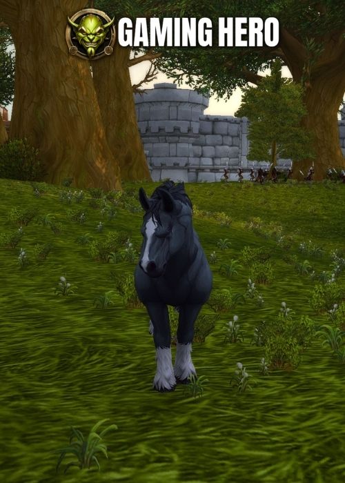 Worgen Racial Mounts