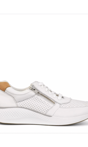 GC Sneakers