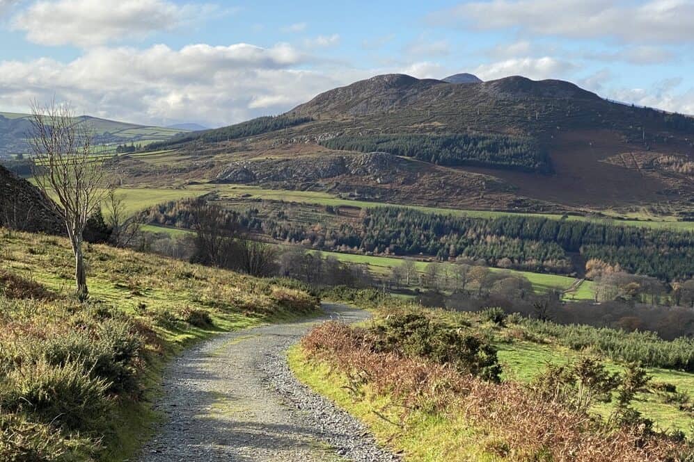 Wicklow private day tour, Powerscout waterfall