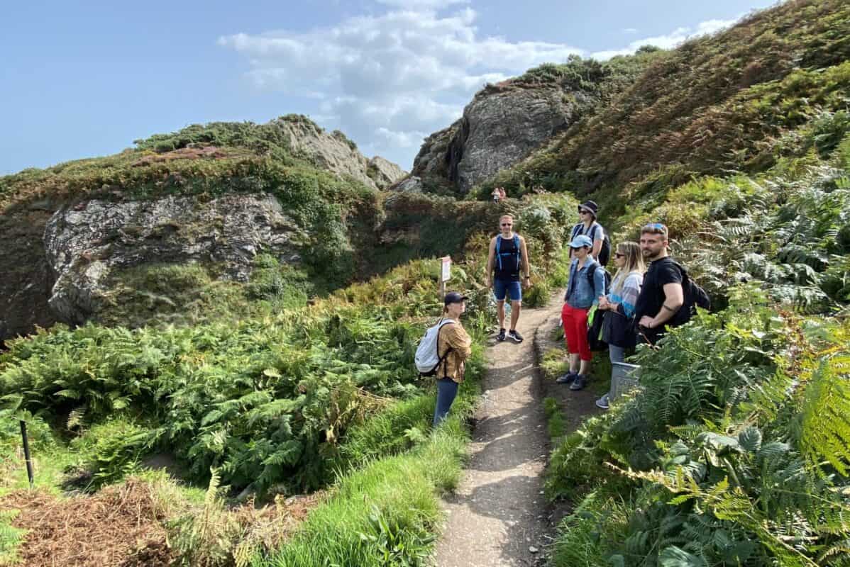 Wicklow private day tour. Wicklow cliff-walk