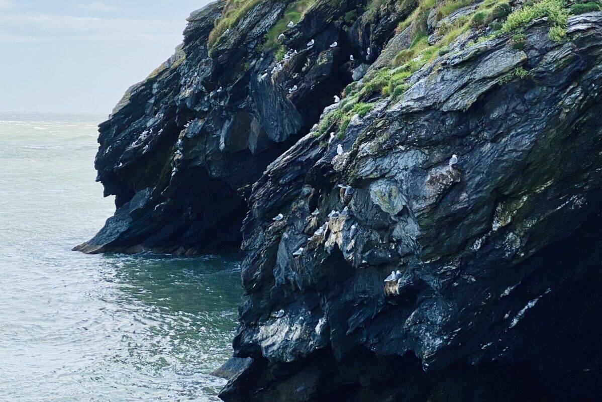 Wicklow day tour. Wicklow cliff-walk