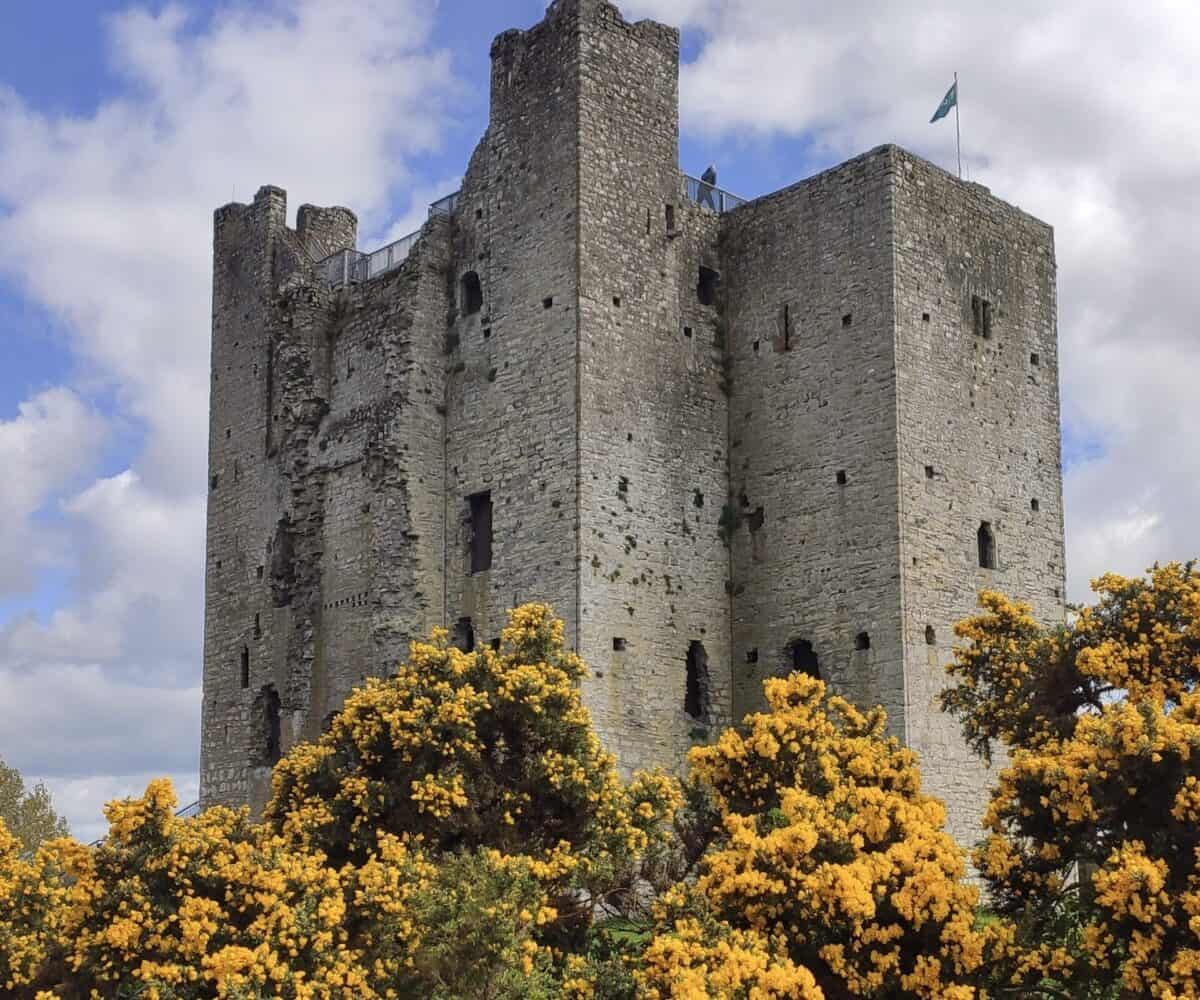 Private Day Tour. Lovely sunny day and yellow gorse at Ireland's largest Anglo-Norman castle in Trim