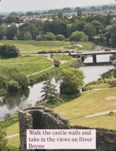 View from Trim Castle on Boyne Valley private guided tour from Dublin